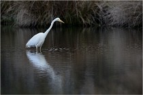 lE tEICH 16-03-21 0010   Photos ACG 2015