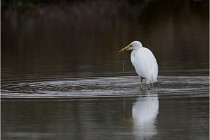 lE tEICH 16-03-21 0061   Photos ACG 2015