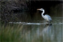 lE tEICH 16-03-21 0090   Photos ACG 2015