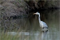 lE tEICH 16-03-21 0093   Photos ACG 2015