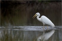 lE tEICH 16-03-21 0217   Photos ACG 2015