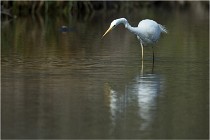 lE tEICH 16-03-23 0951   Photos ACG 2016