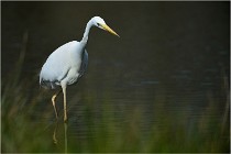 lE tEICH 16-03-23 0967   Photos ACG 2016