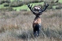 SteCroix 16-09-27 0654   Photos ACG 2016