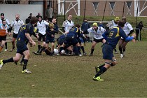 Rugbyt Pontoise 17-01-29 111   Photos ACG 2017