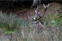 Boutissaint D500 17-10-12 0702   Photos ACG 2017