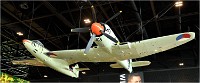 D850 MusArmHoll 18-06-01 009   Photos ACG 2018