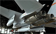 D850 MusArmHoll 18-06-01 034   Photos ACG 2018