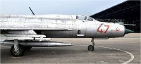 D850 MusArmHoll 18-06-01 069   Photos ACG 2018