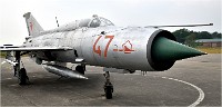D850 MusArmHoll 18-06-01 071   Photos ACG 2018