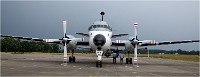 D850 MusArmHoll 18-06-01 091   Photos ACG 2018