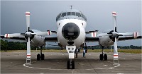 D850 MusArmHoll 18-06-01 092   Photos ACG 2018