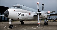 D850 MusArmHoll 18-06-01 093   Photos ACG 2018