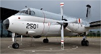 D850 MusArmHoll 18-06-01 094   Photos ACG 2018