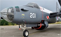 D850 MusArmHoll 18-06-01 101   Photos ACG 2018