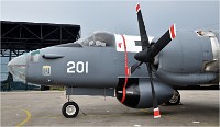 D850 MusArmHoll 18-06-01 102   Photos ACG 2018