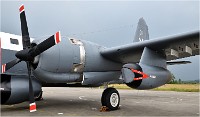 D850 MusArmHoll 18-06-01 103   Photos ACG 2018