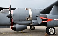 D850 MusArmHoll 18-06-01 105   Photos ACG 2018