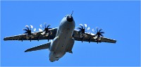 D500 Repet 14 ju 18-06-26 0256   Photos ACG 2018