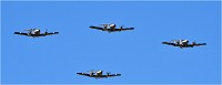 D500 Repet 14 ju 18-06-26 0261   Photos ACG 2018
