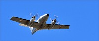 D500 Repet 14 ju 18-06-26 0268   Photos ACG 2018