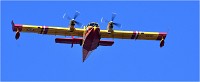 D500 Repet 14 ju 18-06-26 0279   Photos ACG 2018