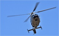 D500 Repet 14 ju 18-06-26 0586   Photos ACG 2018