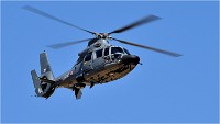 D500 Repet 14 ju 18-06-26 0660   Photos ACG 2018