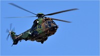 D500 Repet 14 ju 18-06-26 0799   Photos ACG 2018
