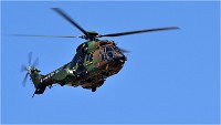 D500 Repet 14 ju 18-06-26 0802   Photos ACG 2018