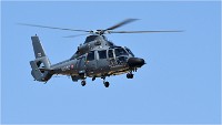 D500 Repet 14 ju 18-06-26 0836   Photos ACG 2018