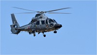 D500 Repet 14 ju 18-06-26 0838   Photos ACG 2018