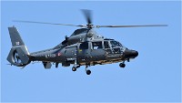 D500 Repet 14 ju 18-06-26 0856   Photos ACG 2018