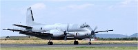 D500 Meet Nancy 18-06-29 0870   Photos ACG 2018
