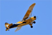 D850 Niergnies 18-09-02 0605   Photos ACG 2018