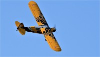 D850 Niergnies 18-09-02 0618   Photos ACG 2018