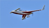 D850 Niergnies 18-09-02 0870   Photos ACG 2018