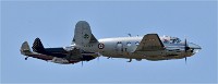 D850 Niergnies 18-09-02 0978   Photos ACG 2018