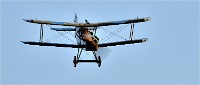 D850 Niergnies 18-09-02 1783   Photos ACG 2018