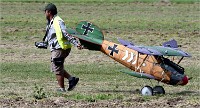 D500 Merville 18-09-16 0374   Photos ACG 2018