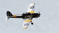 D500 Merville 18-09-16 0392   Photos ACG 2018