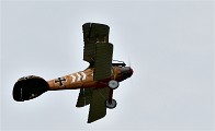 D500 Merville 18-09-16 0443   Photos ACG 2018