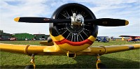 D850 Merville 18-09-16 2050   Photos ACG 2018