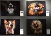 Df Photokina 18-09-26 014   Photo ACG 2018