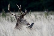 D500 RichmonPark 18-09-30 2230   Photos ACG 2018