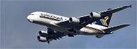 D850 RichmonPark 18-10-01 0463   Photos ACG 2018