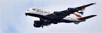 D850 RichmonPark 18-10-01 0497   Photos ACG 2018