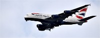 D850 RichmonPark 18-10-01 0500   Photos ACG 2018