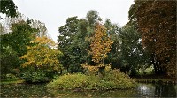 D850 RichmonPark 18-10-06 2092   Photos ACG 2018