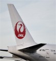 D850 Roissy CDG 18-11-03 262   Photos ACG 2018